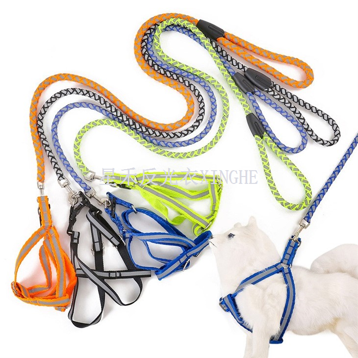 चिंतनशील पालतू कुत्ते का पट्टा