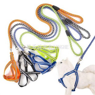 चिंतनशील पालतू कुत्ते का पट्टा