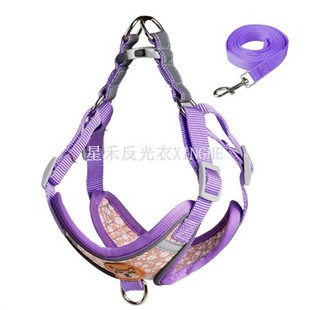 सुरक्षा चिंतनशील पट्टा कुत्ता